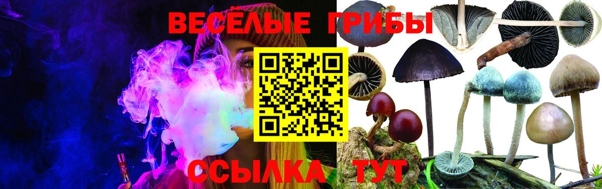 Галлюциногенные грибы MAGIC MUSHROOMS Губкинский